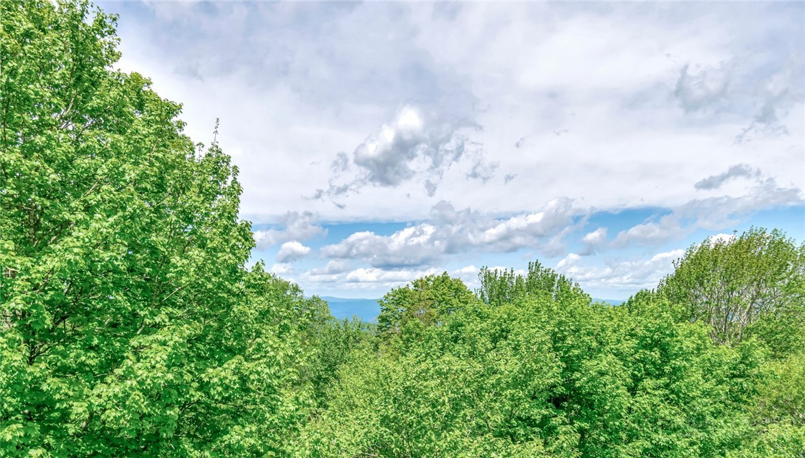1078 Charter Hills Road Property Photo 3
