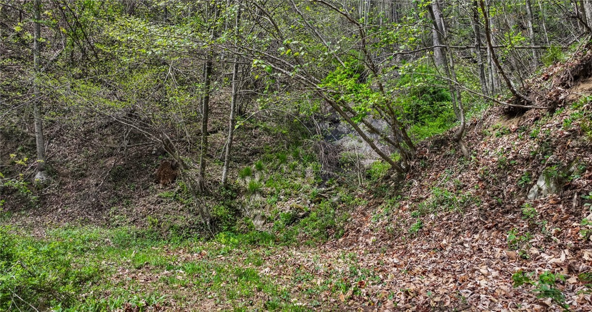 261654 Property Photo 11