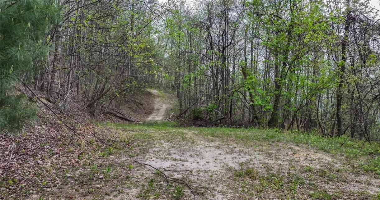 261654 Property Photo 15