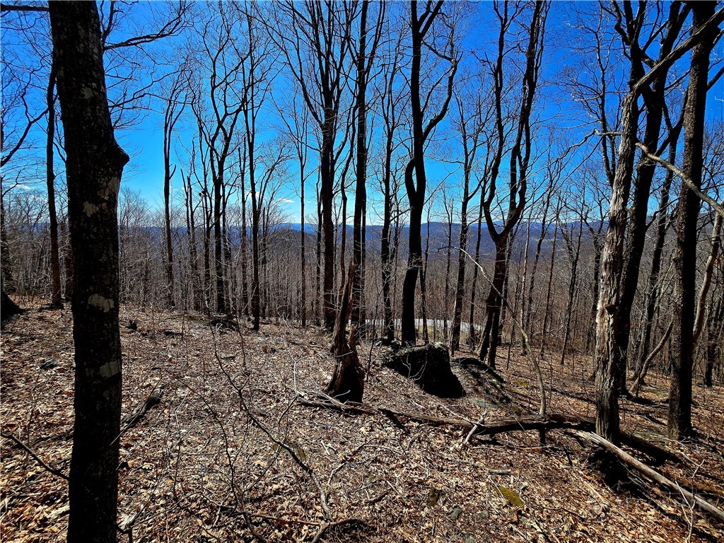 Lot 78 Elk Creek Mountain Parkway Property Photo 1