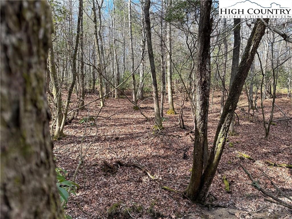 Lot 23 Holly Run Property Photo 1