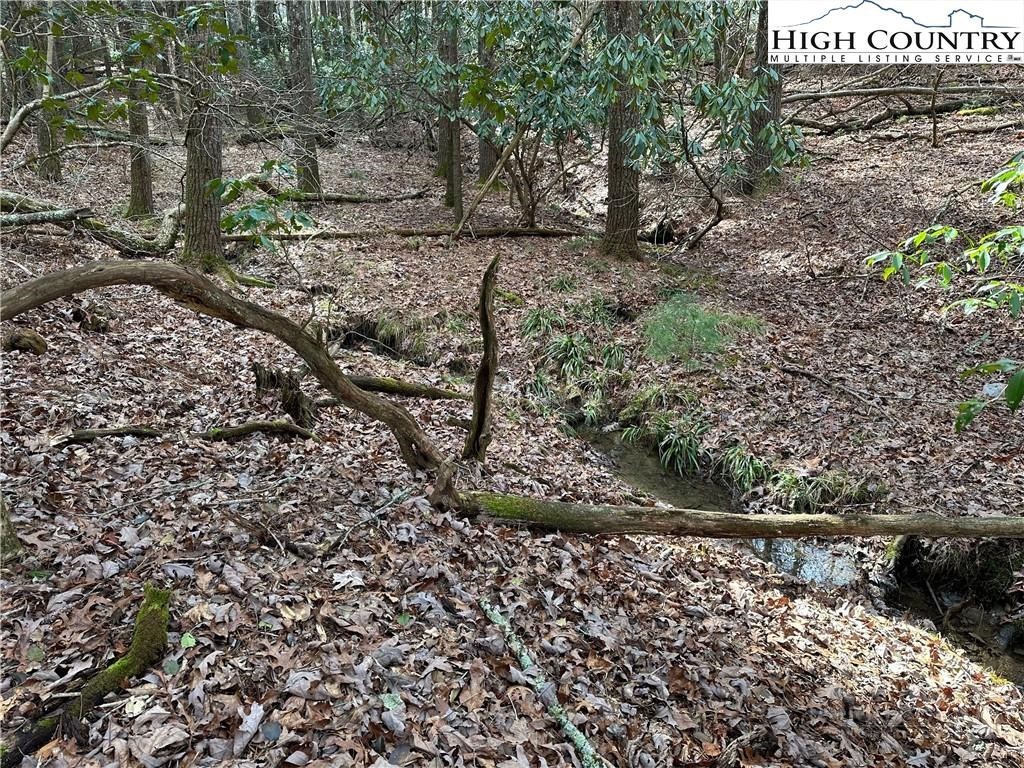 Lot 23 Holly Run Property Photo 2