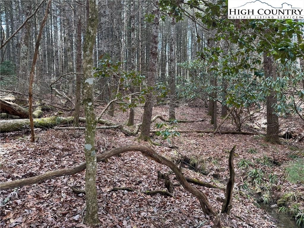 Lot 23 Holly Run Property Photo 4