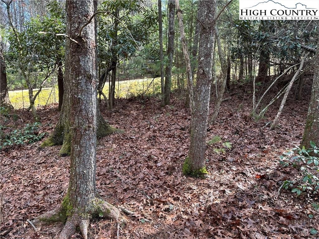 Lot 23 Holly Run Property Photo 6