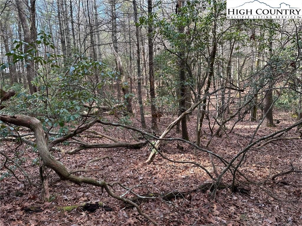 Lot 23 Holly Run Property Photo 7
