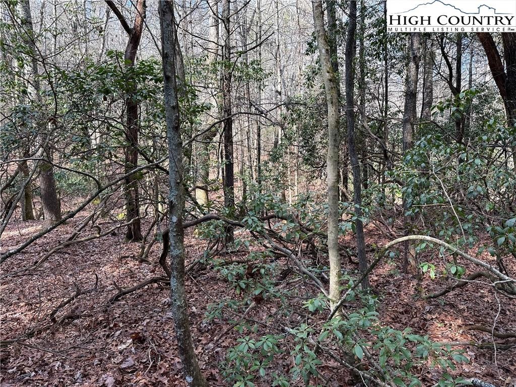 Lot 23 Holly Run Property Photo 8