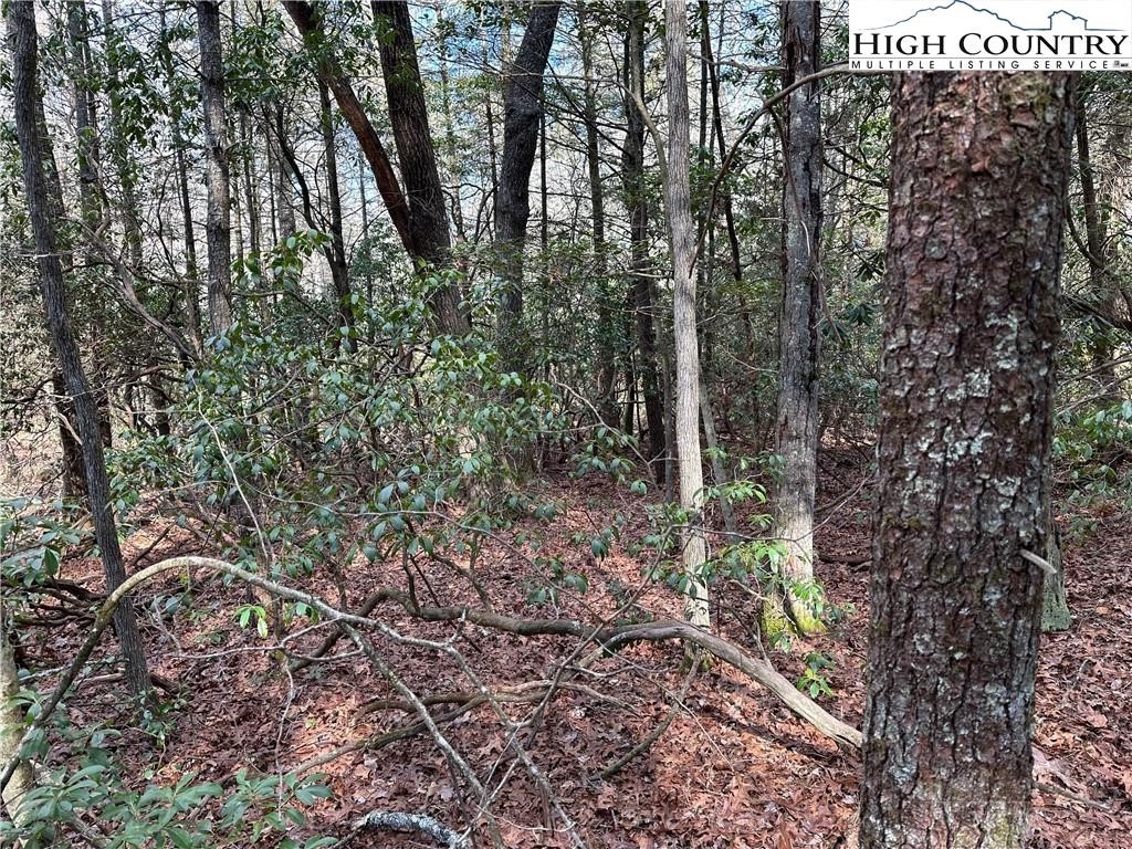Lot 23 Holly Run Property Photo 9