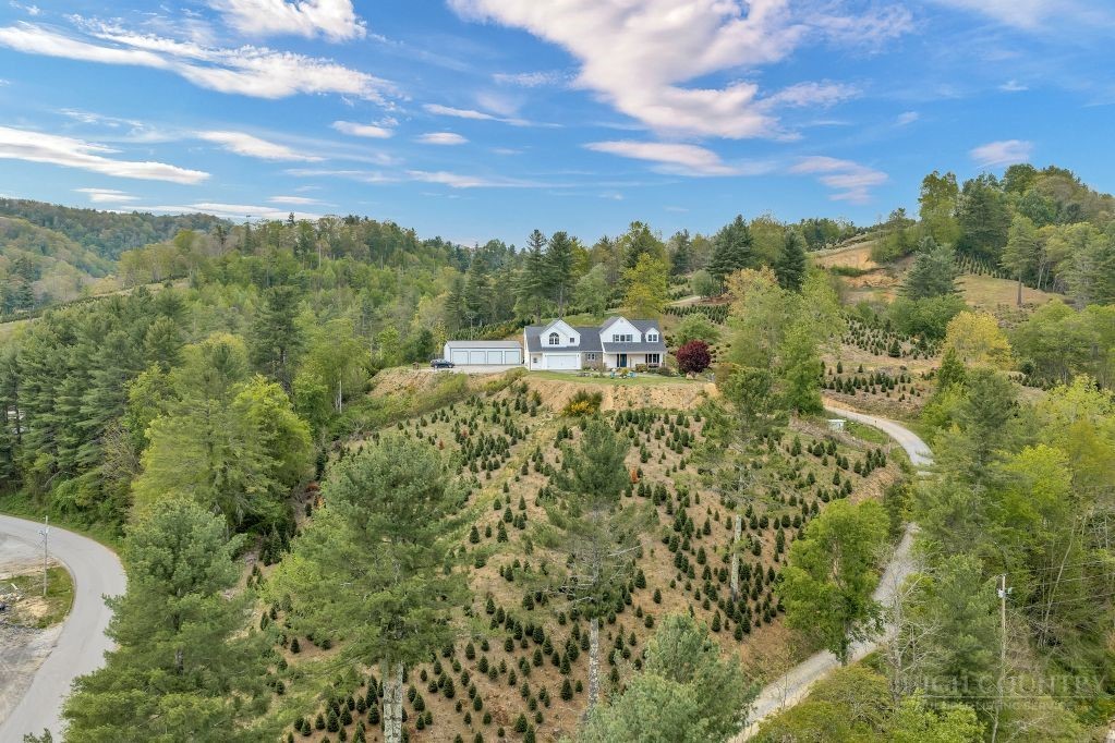 61 Honky Hollow Lane Property Photo 3