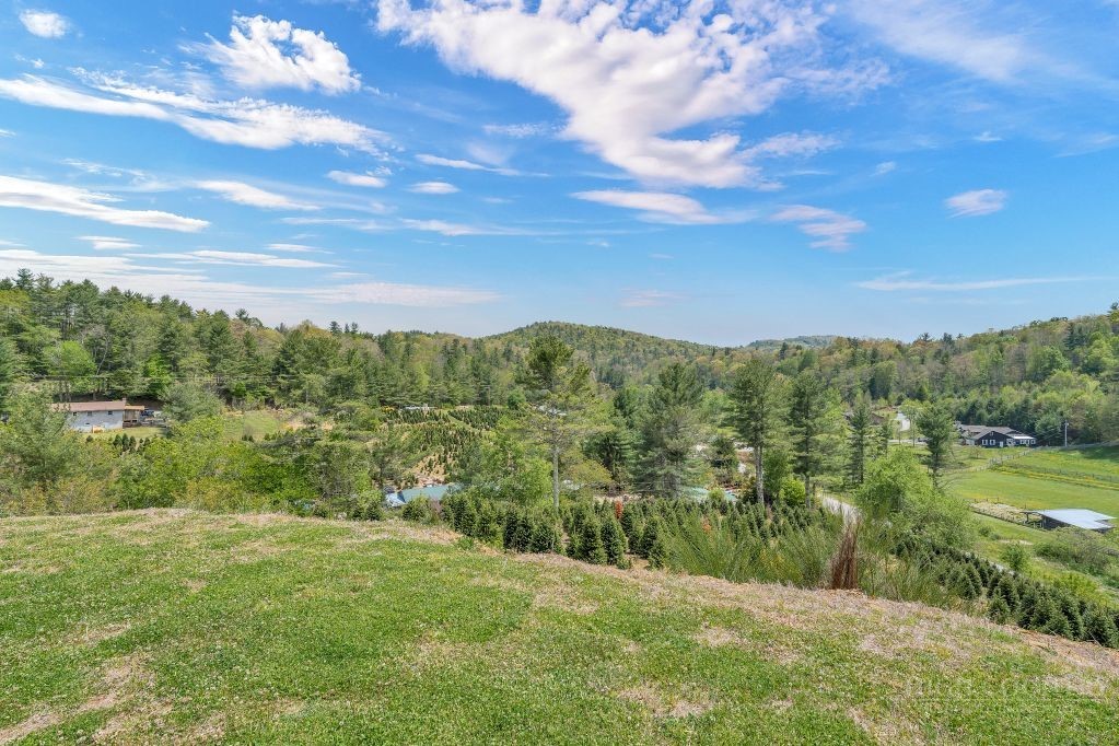 61 Honky Hollow Lane Property Photo 41
