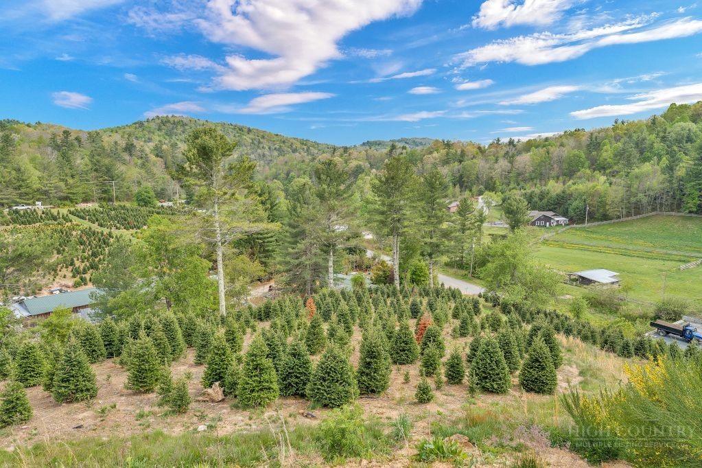 61 Honky Hollow Lane Property Photo 42