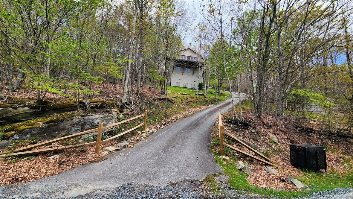 111 Aster Trail Property Photo 6