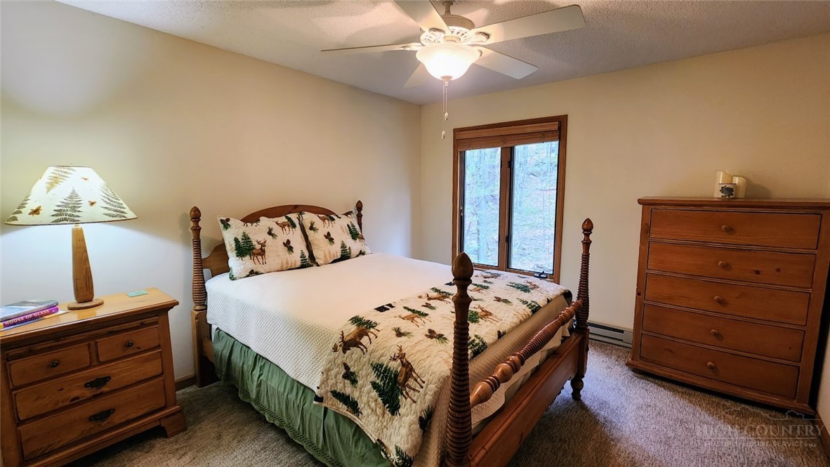 111 Aster Trail Property Photo 18