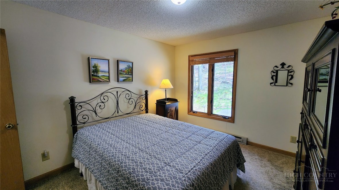 111 Aster Trail Property Photo 38