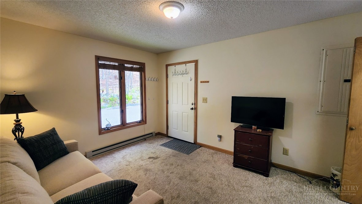 111 Aster Trail Property Photo 41