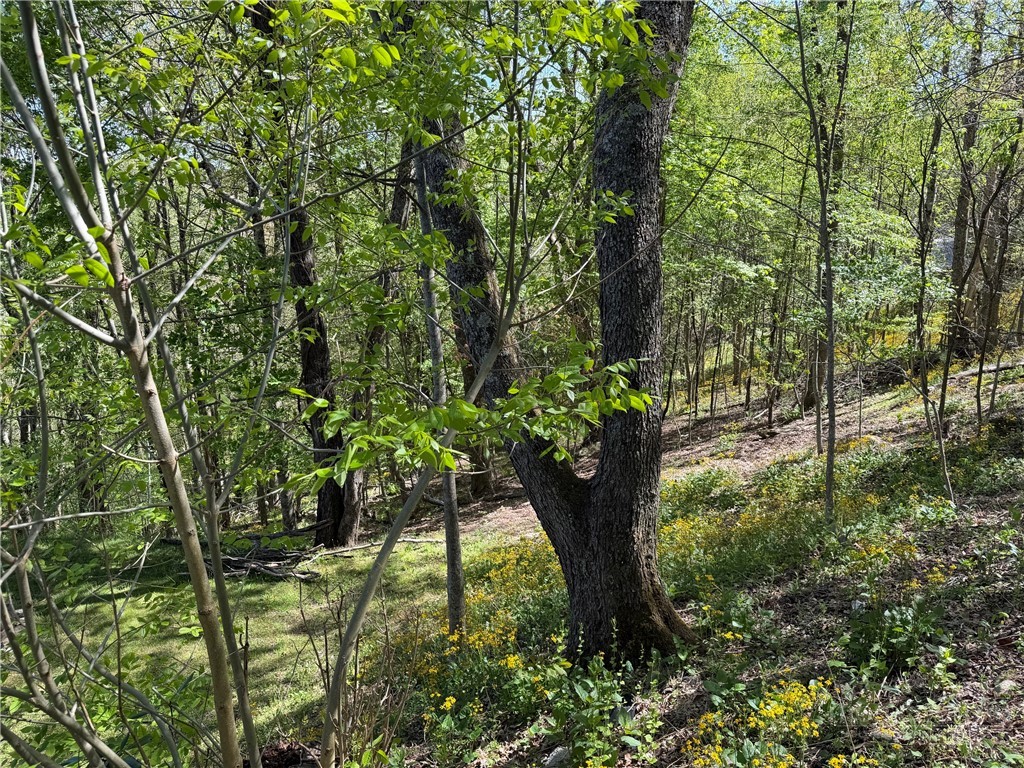 Tbd Ski Mountain Road Property Photo 1
