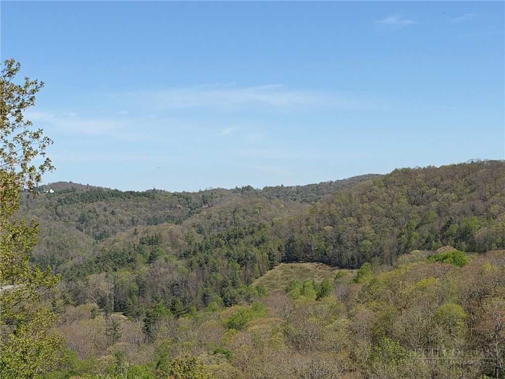 Tbd Ski Mountain Road Property Photo 2