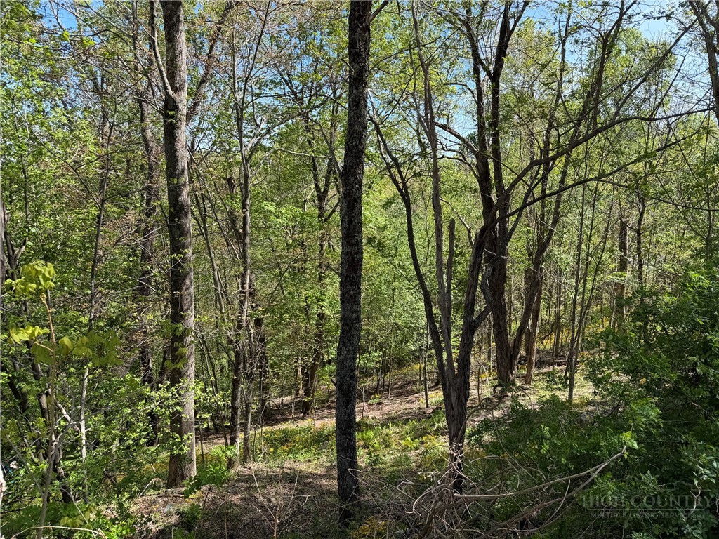 Tbd Ski Mountain Road Property Photo 3