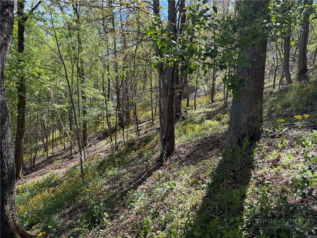 Tbd Ski Mountain Road Property Photo 4