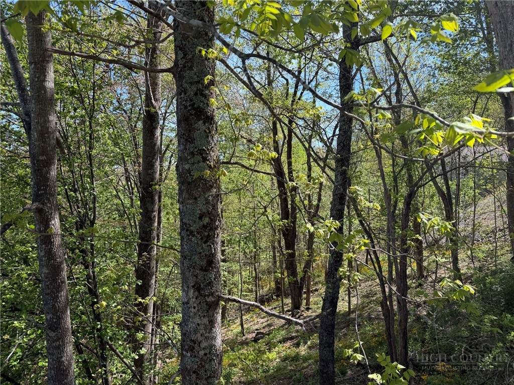 Tbd Ski Mountain Road Property Photo 5