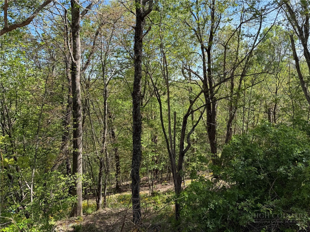 Tbd Ski Mountain Road Property Photo 6
