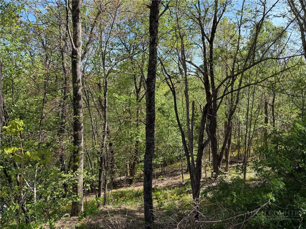 Tbd Ski Mountain Road Property Photo 7