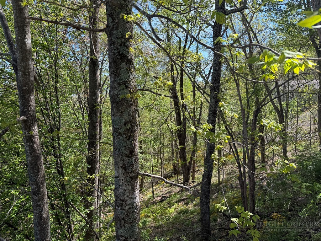 Tbd Ski Mountain Road Property Photo 8