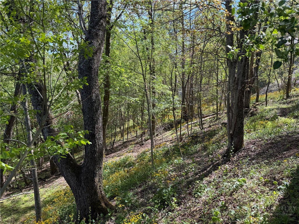 Tbd Ski Mountain Road Property Photo 9