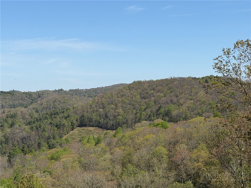 Tbd Ski Mountain Road Property Photo 10