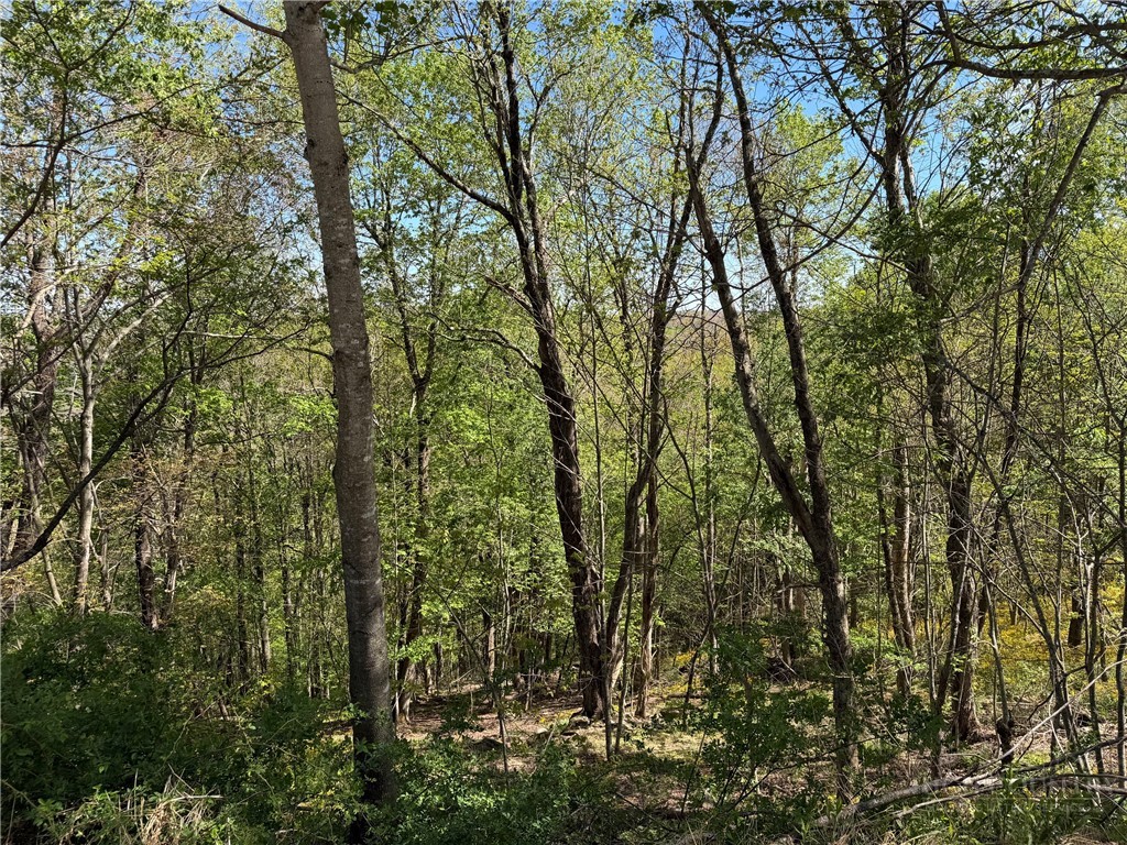 Tbd Ski Mountain Road Property Photo 11