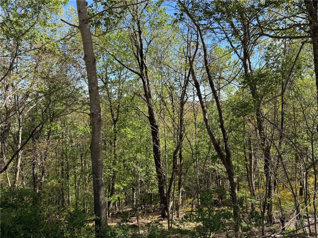 Tbd Ski Mountain Road Property Photo 12