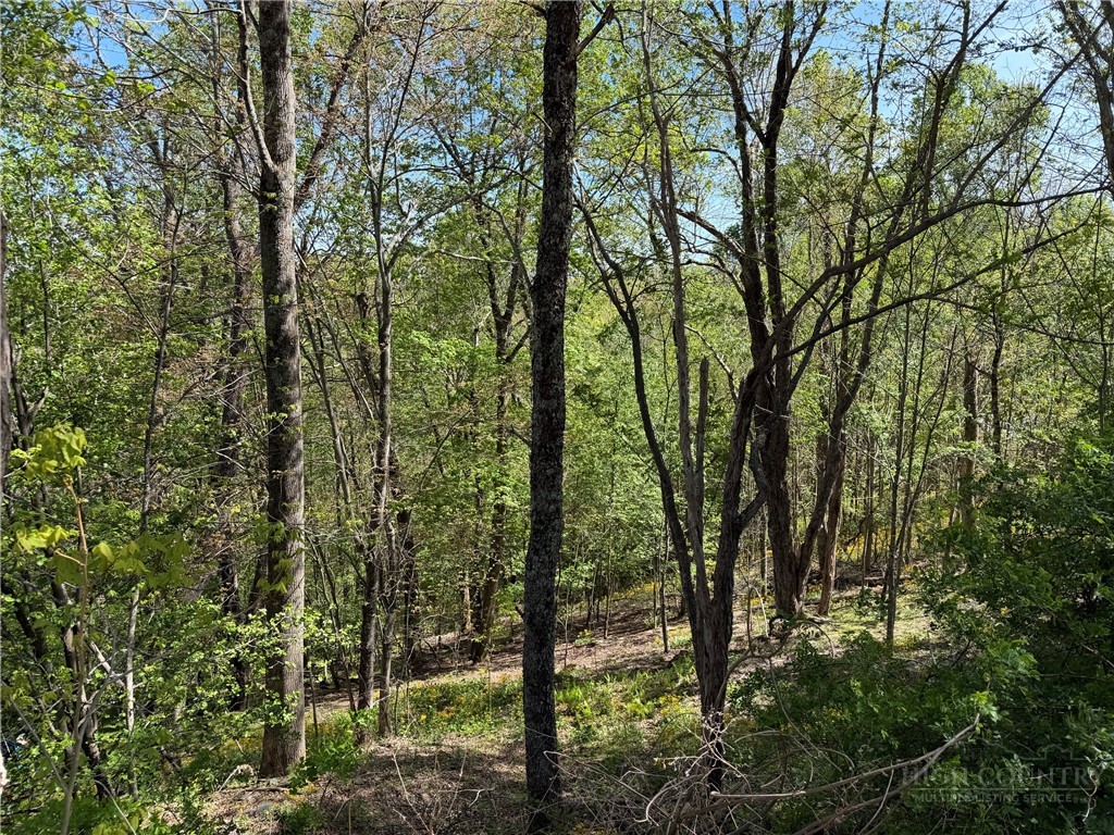 Tbd Ski Mountain Road Property Photo 13