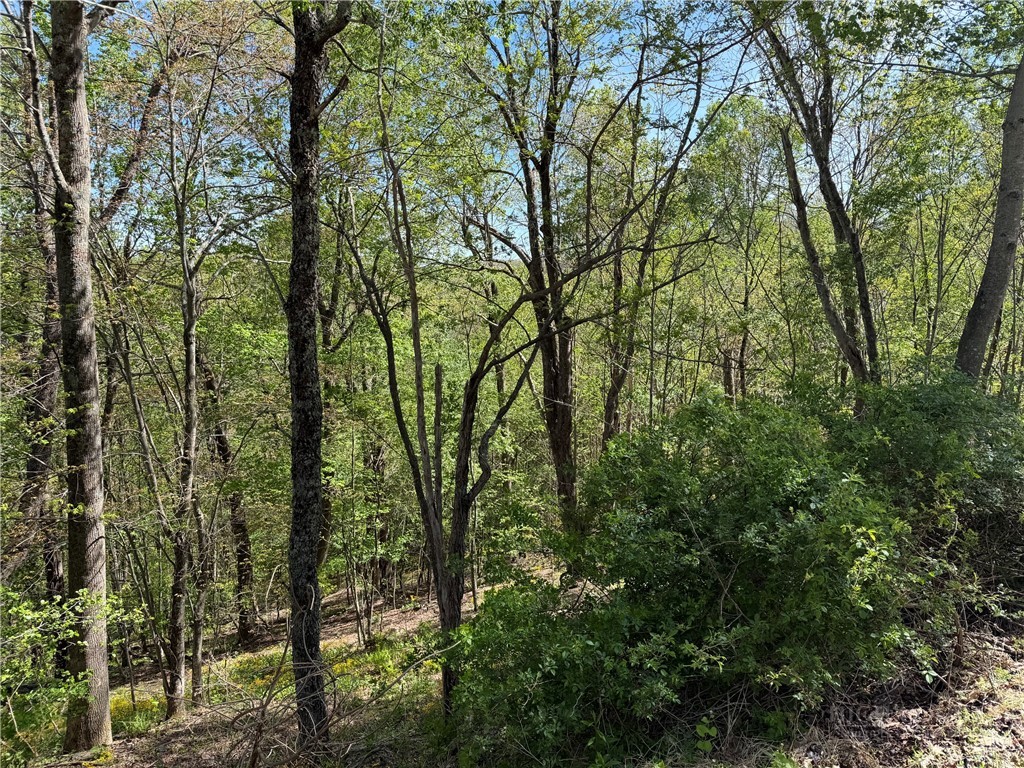 Tbd Ski Mountain Road Property Photo 14