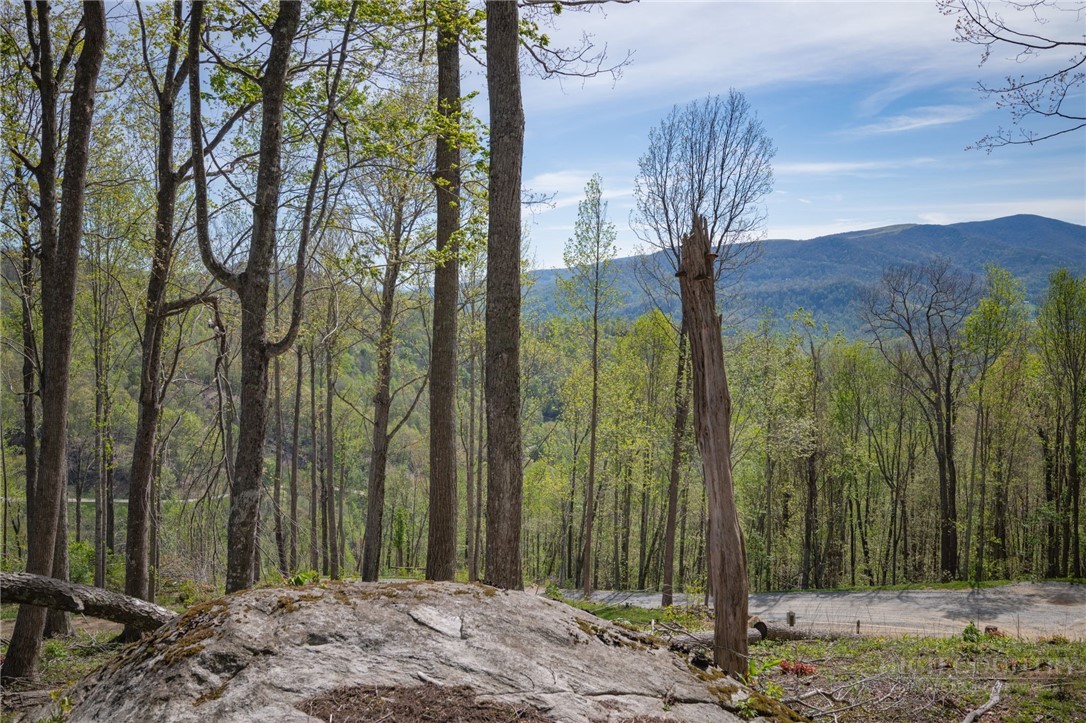 140 Old Forge Trail Property Photo 1