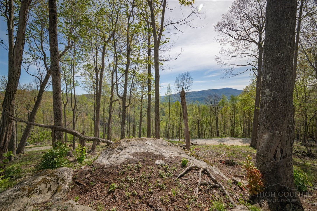 140 Old Forge Trail Property Photo 2