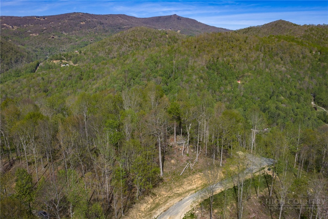 140 Old Forge Trail Property Photo 6