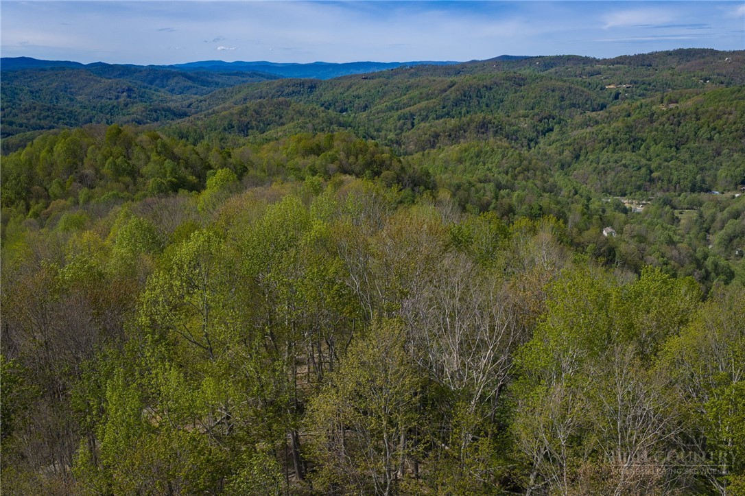 140 Old Forge Trail Property Photo 8