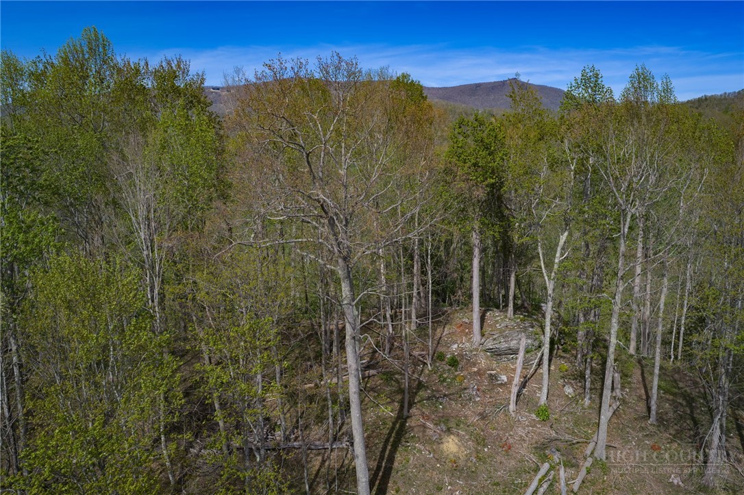 140 Old Forge Trail Property Photo 9