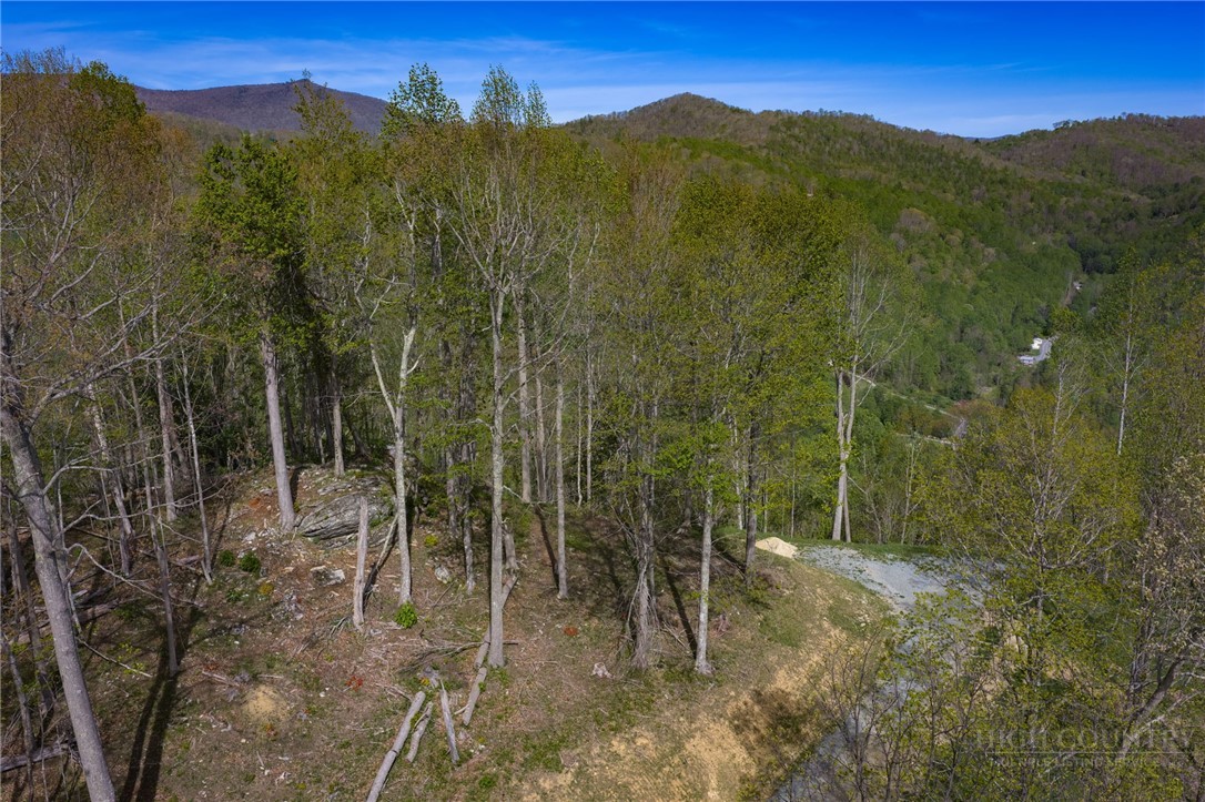 140 Old Forge Trail Property Photo 10
