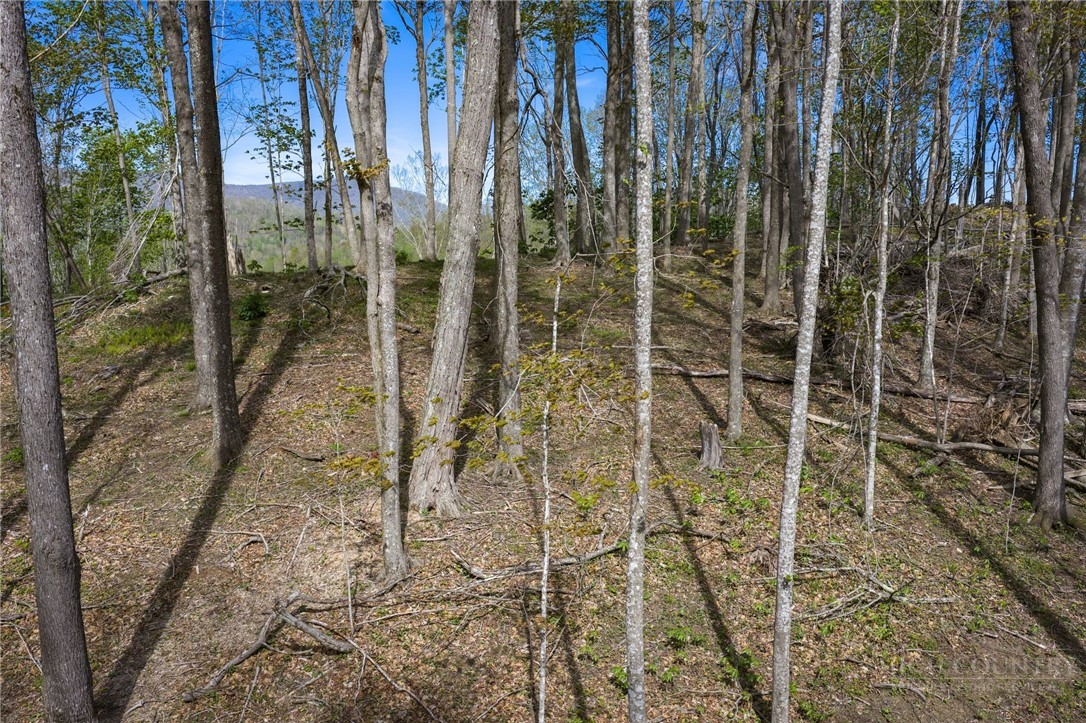 140 Old Forge Trail Property Photo 11