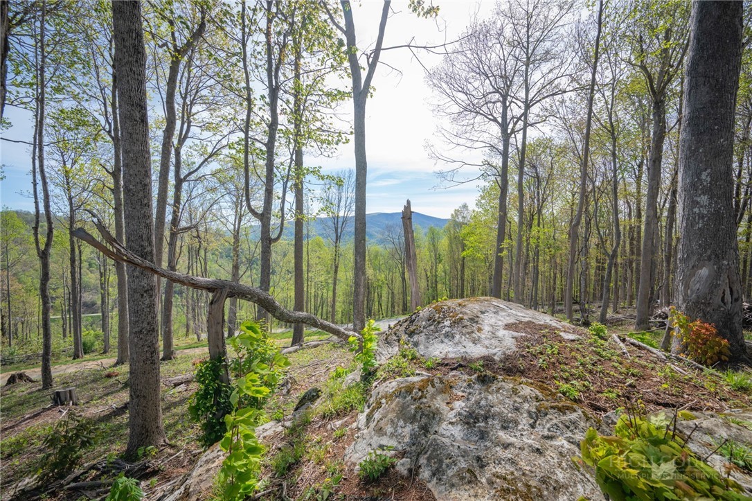 140 Old Forge Trail Property Photo 16