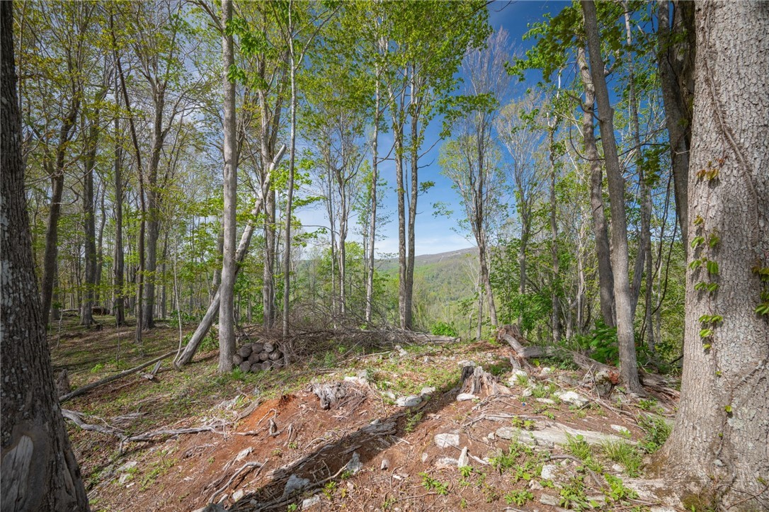 140 Old Forge Trail Property Photo 17