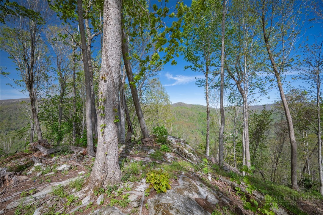 140 Old Forge Trail Property Photo 18
