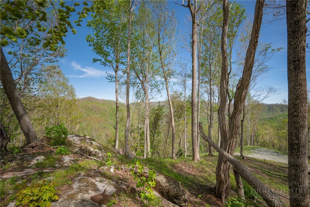 140 Old Forge Trail Property Photo 19