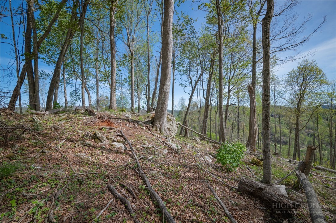 140 Old Forge Trail Property Photo 21