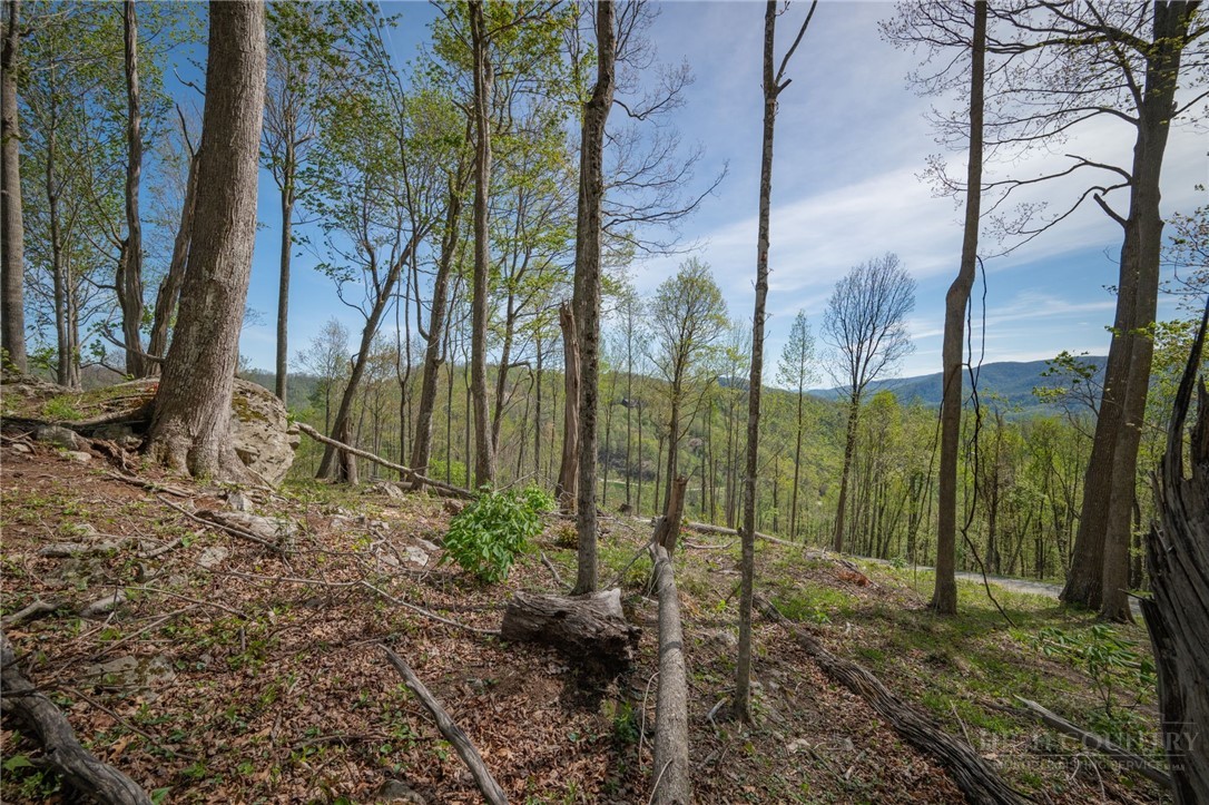 140 Old Forge Trail Property Photo 22
