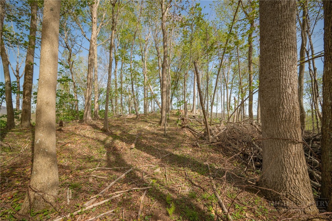 140 Old Forge Trail Property Photo 23