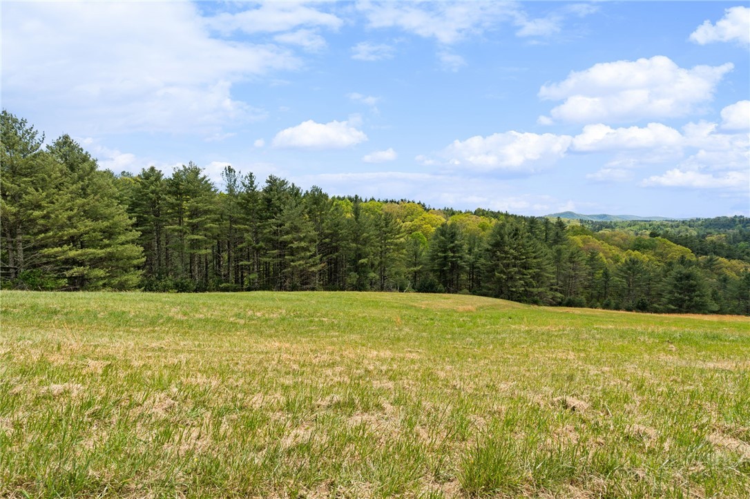 Lot 14 Camp View Trail