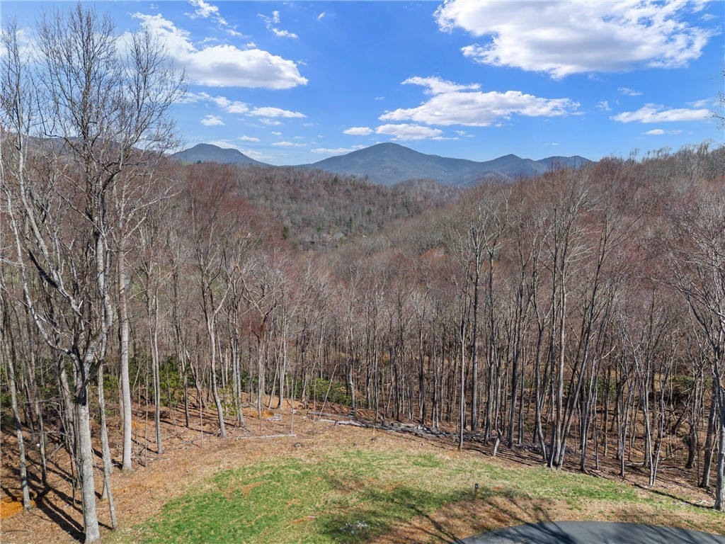 Lot 36 Poplar Forest Drive Property Photo 1