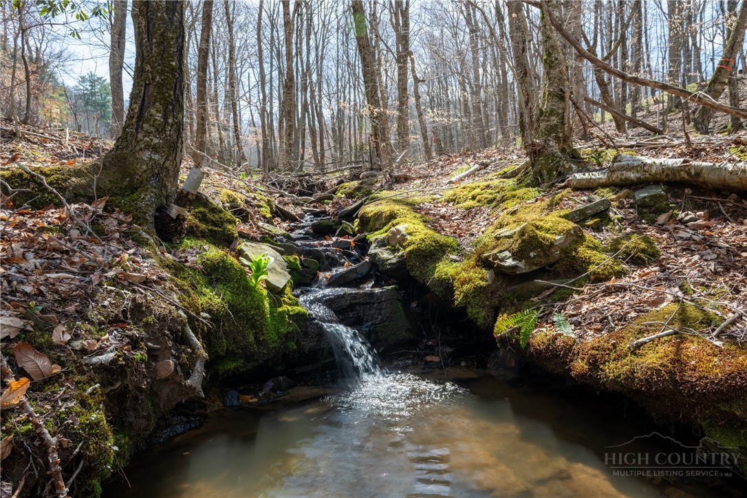 Lot 36 Poplar Forest Drive Property Photo 2
