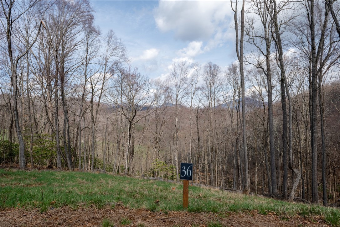 Lot 36 Poplar Forest Drive Property Photo 4